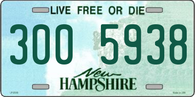 NH license plate 3005938