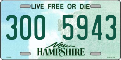 NH license plate 3005943