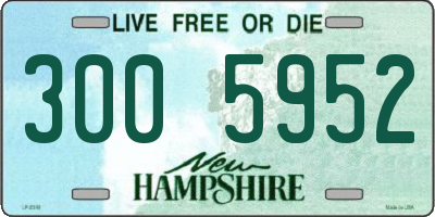NH license plate 3005952