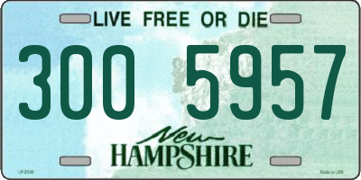 NH license plate 3005957