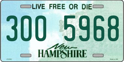 NH license plate 3005968