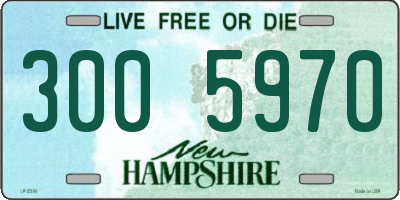 NH license plate 3005970