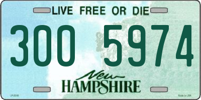 NH license plate 3005974