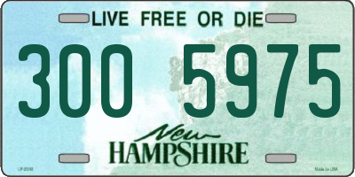 NH license plate 3005975