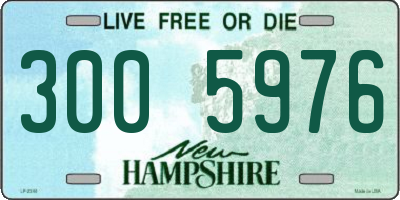 NH license plate 3005976