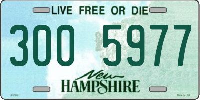 NH license plate 3005977