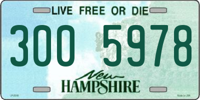 NH license plate 3005978