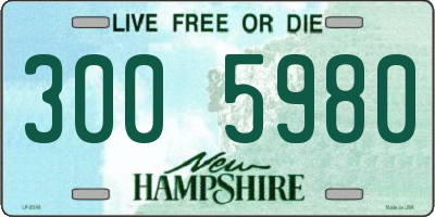 NH license plate 3005980