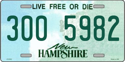 NH license plate 3005982