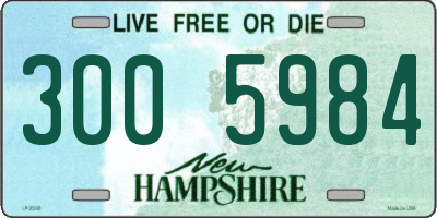 NH license plate 3005984