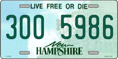 NH license plate 3005986
