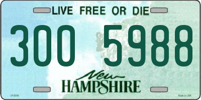 NH license plate 3005988