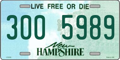 NH license plate 3005989