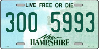 NH license plate 3005993