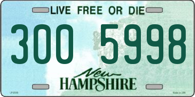 NH license plate 3005998
