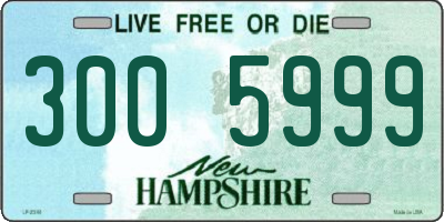 NH license plate 3005999