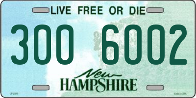 NH license plate 3006002