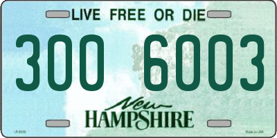 NH license plate 3006003