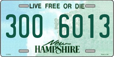 NH license plate 3006013