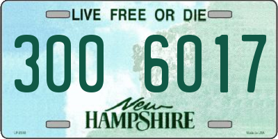 NH license plate 3006017