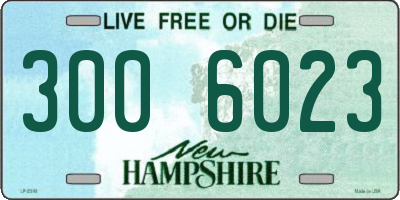 NH license plate 3006023