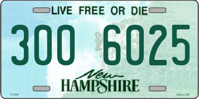 NH license plate 3006025