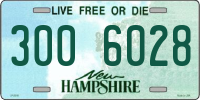 NH license plate 3006028