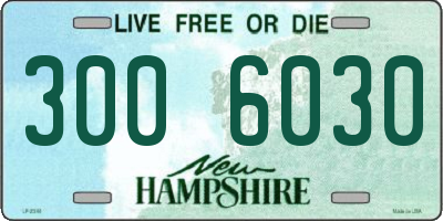 NH license plate 3006030