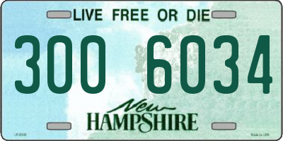 NH license plate 3006034