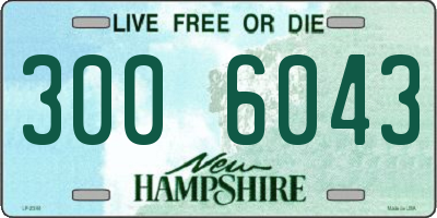 NH license plate 3006043