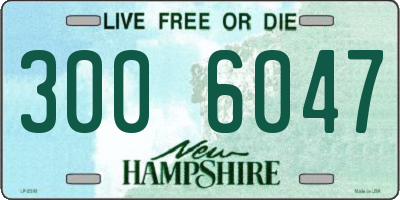 NH license plate 3006047