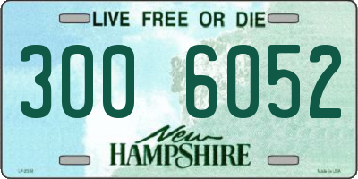 NH license plate 3006052