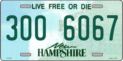 NH license plate 3006067