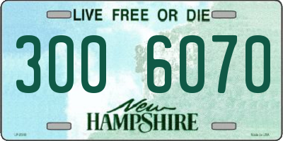 NH license plate 3006070