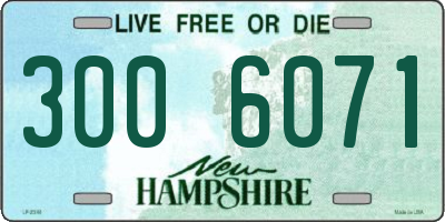 NH license plate 3006071