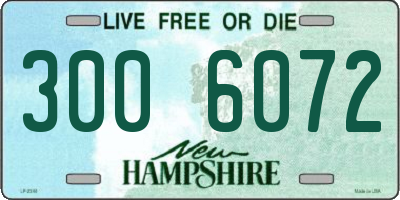 NH license plate 3006072