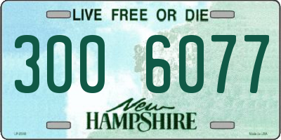 NH license plate 3006077
