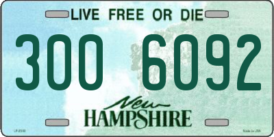 NH license plate 3006092