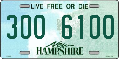 NH license plate 3006100