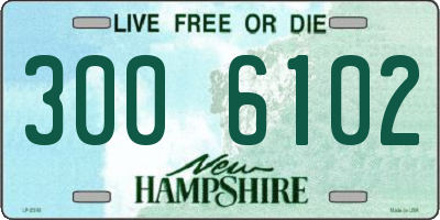 NH license plate 3006102