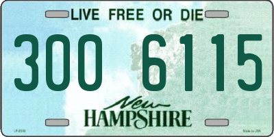 NH license plate 3006115