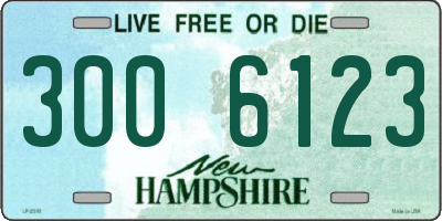 NH license plate 3006123
