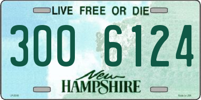 NH license plate 3006124