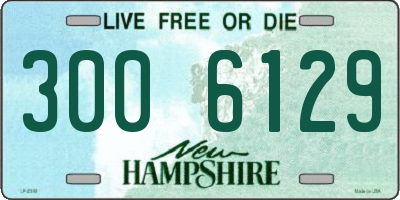 NH license plate 3006129