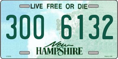 NH license plate 3006132