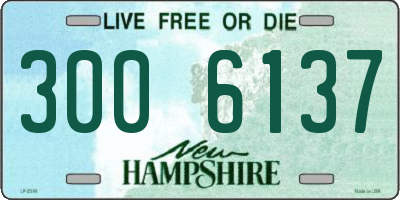 NH license plate 3006137