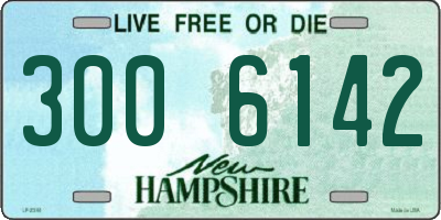 NH license plate 3006142