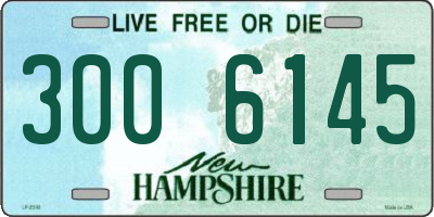 NH license plate 3006145