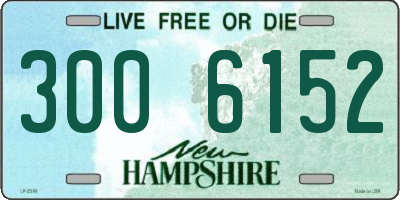 NH license plate 3006152
