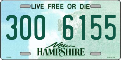 NH license plate 3006155